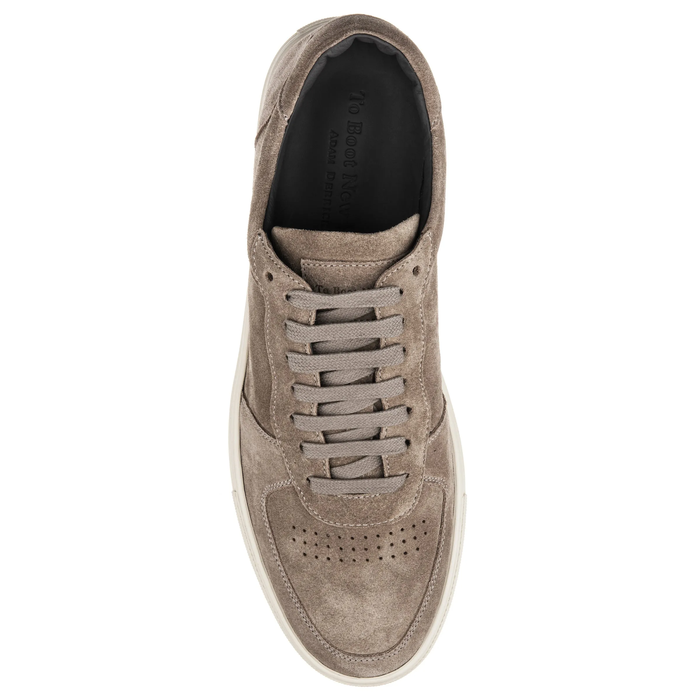 Barbera Taupe Suede Court Sneaker